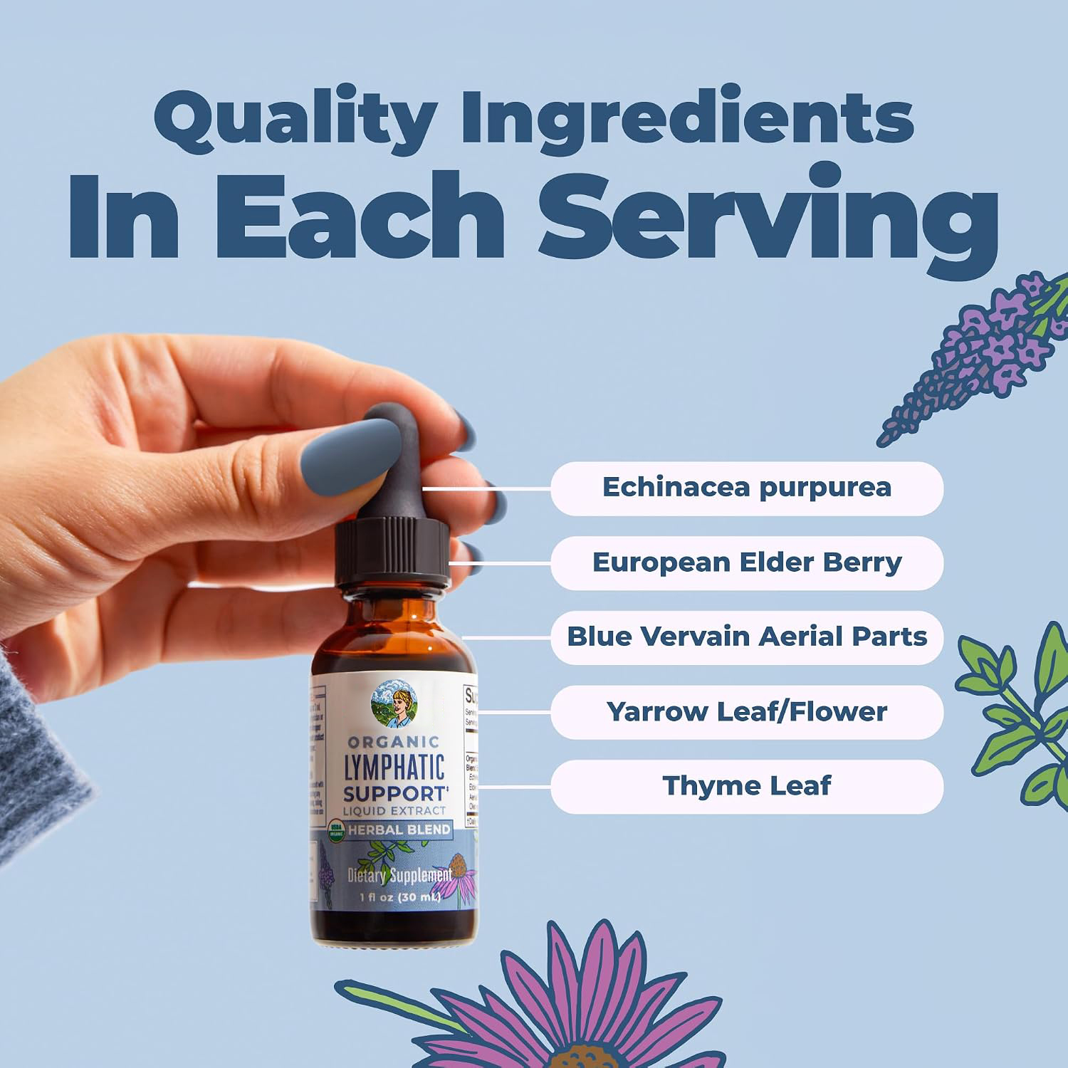 Organic Lymphatic Support Liqu - đánh giá và giá Echinacea